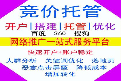 竞价托管服务对比：不同平台的优劣分析